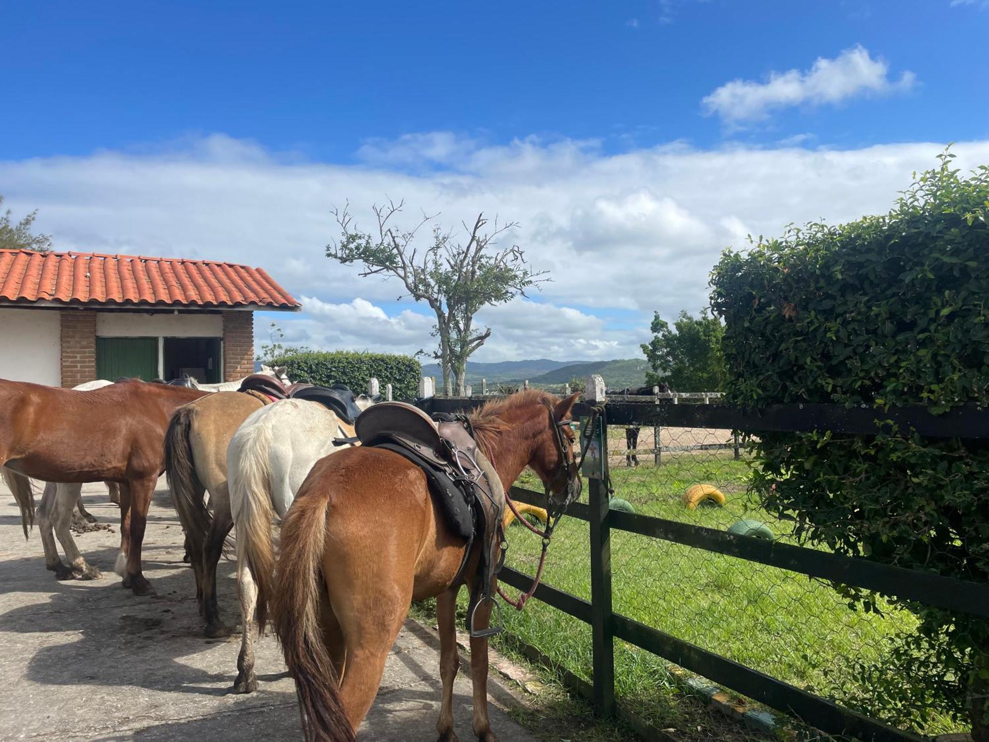 Gravata Flat No Condominio Monte Castelo Melhor Localizacao , Wi-Fi, Sky E Ar Kültér fotó